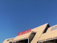 -亚龙湾国际玫瑰谷