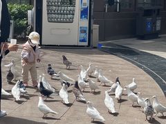 -中粮·祥云小镇