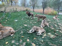 -北京野生动物园