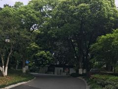 -东航云逸酒店(九溪烟树店)