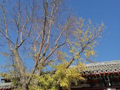-名门小厨(劲松店)