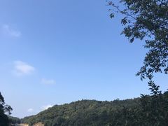 -广州市石门国家森林公园