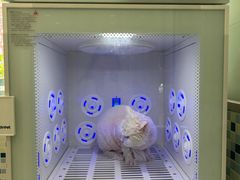 -悦宠凯宝动物医院·牙科·皮肤科(朝阳北路店)