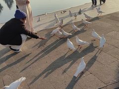 -上海交通大学闵行校区-包玉刚图书馆