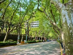-夏朵花园(复兴西路店)