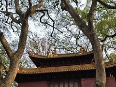 -普陀山风景名胜区-法雨禅寺