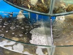 -四海蒸鲜蒸汽海鲜自助(北戴河店)