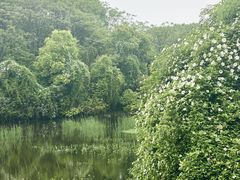 -艾溪湖湿地公园