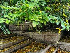 -青岛德国监狱旧址博物馆