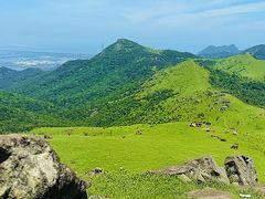 -大姆山草场