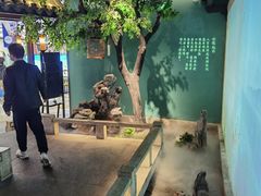 -佬麻雀·剁椒鱼头(京基KK One店)