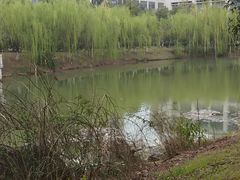 -江南大学(蠡湖校区)