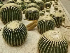android_upload_pic-世界地热博览园
