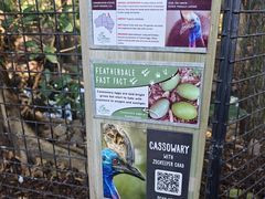 -费瑟代尔野生动物园