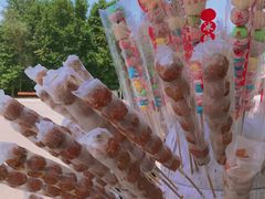 -日照海滨国家森林公园