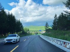 -御道口草原森林风景区