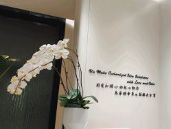 -奥斯芬·欧系贵族SPA