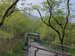 -西湖风景区-江洋畈生态公园