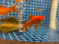 -徐家屯铁锅炖(宋家庄店)