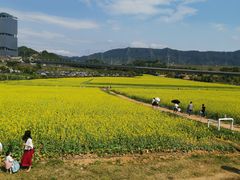 -光明小镇欢乐田园