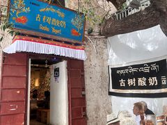-古树酸奶(八廓南街店)