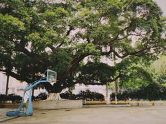 -广州医科大学(越秀校区)