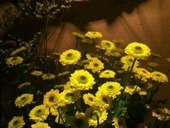 -胡桃里音乐餐厅(陶溪川店)(川湘赣菜·世界百大酒庄直供红酒·音乐表演)