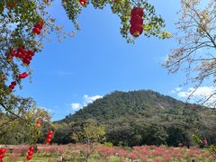 -广州市石门国家森林公园