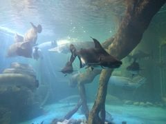 -多彩贵州城极地海洋世界