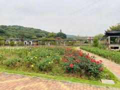 -龙寺生态园
