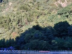 -秦岭终南山世界地质公园翠华山景区