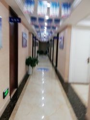 -碧莲盛·不剃发植发