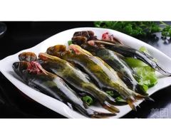 -鱼品天下美蛙鱼·海鲜·牛排自助