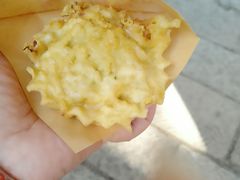 萝卜丝饼-萝卜丝饼