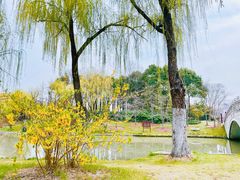 -顾村公园