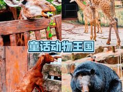 -长鹿旅游休博园