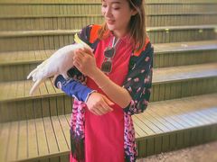 -南戴河国际娱乐中心