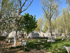 -九十九顶毡房(阜石路店)