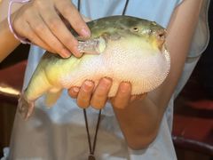 -永安鱼庄·镇江菜(丁卯店)