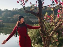 -南国桃园旅游度假区