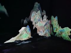 -上海市普陀区文化馆