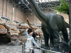 -国家自然博物馆