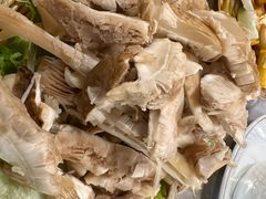 -易门野生菌府·菌海森林(月牙潭公园店)