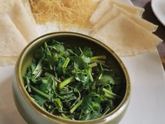 -丁老爷子苏香圆