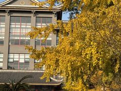 -四川大学(华西校区)