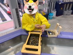 -奈尔宝·儿童乐园·亲子餐厅(鄞州万达店)