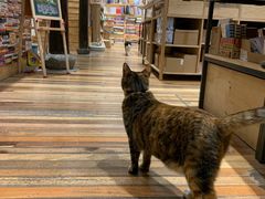 -猫的天空之城概念书店(杭州南宋御街店)