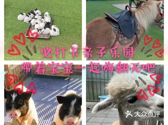 欢度六一，快去万达广场亲子动物乐园吧