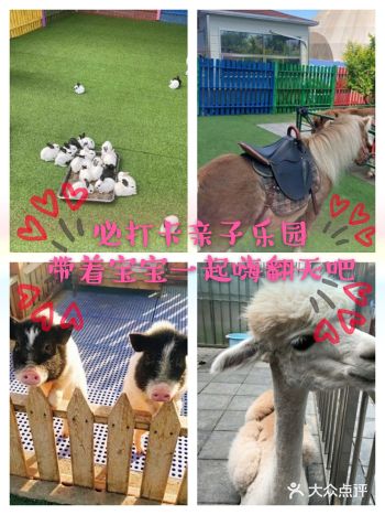 欢度六一,快去万达广场亲子动物乐园吧