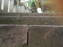 -重庆平顶山公园